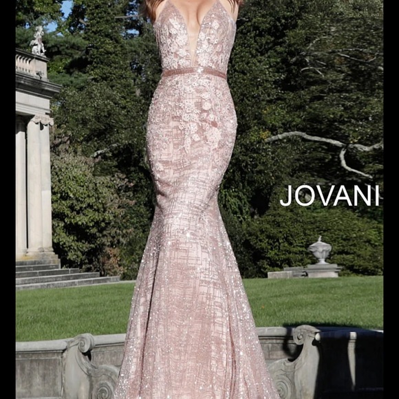 Julianne Embroidered Backless Dress Rose